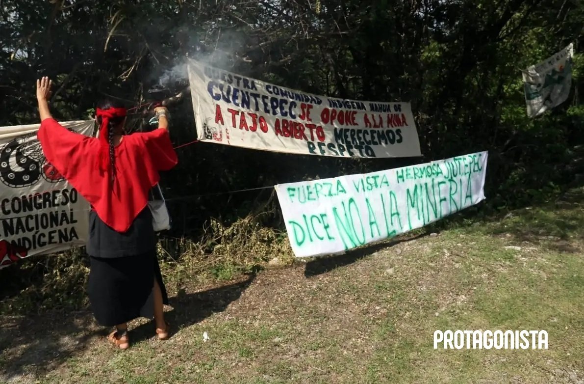 Profepa clausura predio en Coatepec por tala ilegal que afecta 752 metros cuadrados de bosque